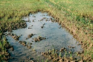 5 Signs Your Property Needs a Subsoil Drainage System