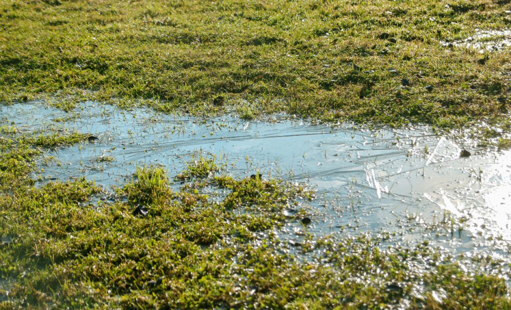 Environmental and Sustainability Aspects of Sub-Soil Drainage