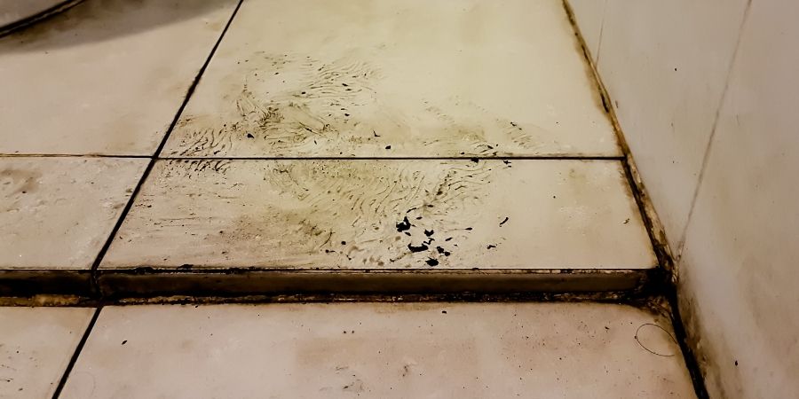 How to Tell Whether Uneven Floors Indicate Foundation Movement structural assessment